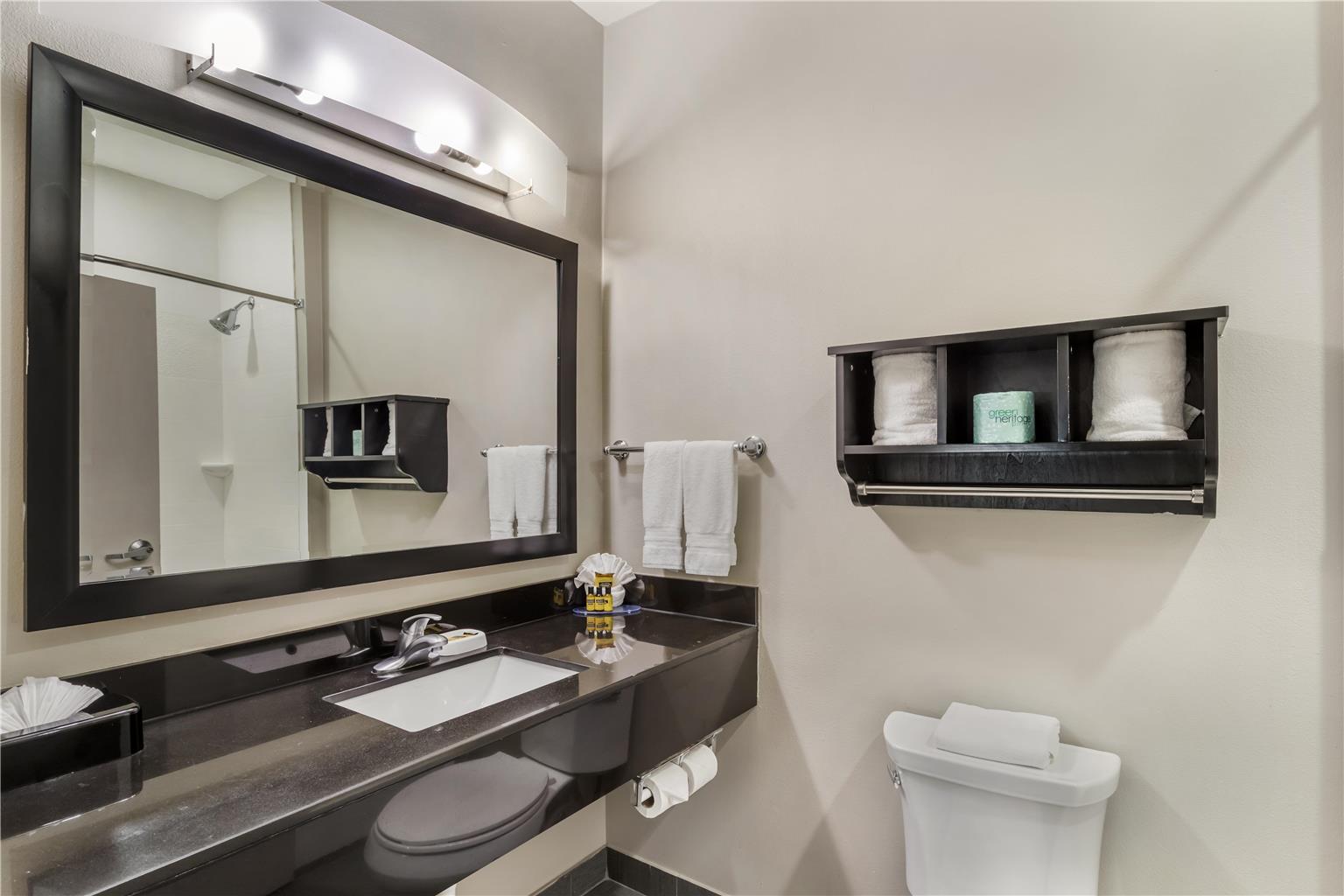 Фото Best Western Plus Laredo Inn & Suites