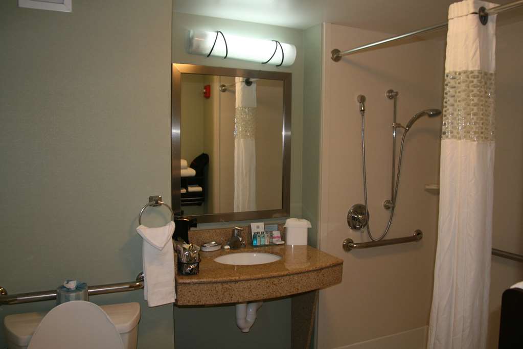 Фото Hampton Inn & Suites Detroit-Canton