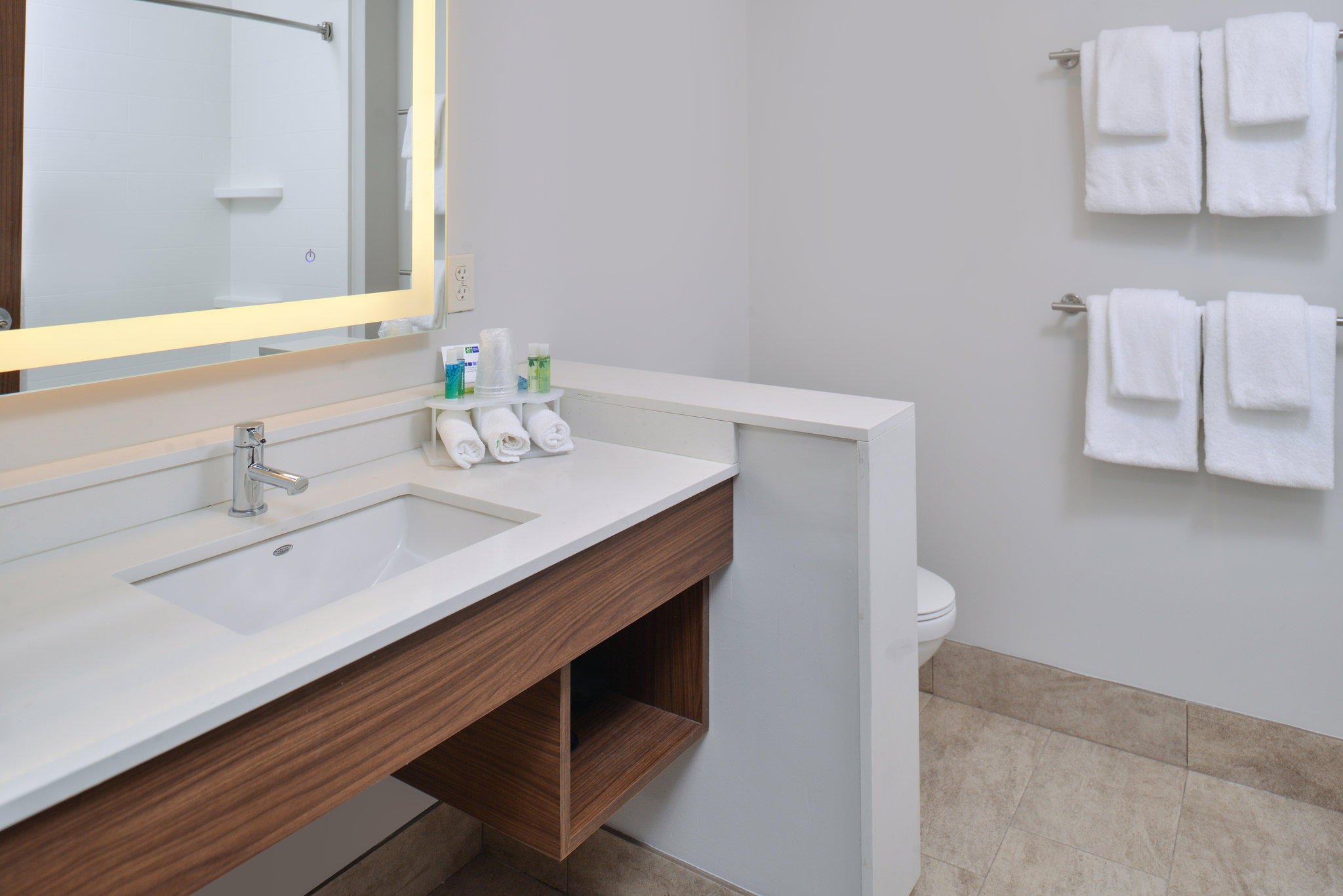 Фото Holiday Inn Express & Suites Southgate - Detroit Area, an Ihg Hotel