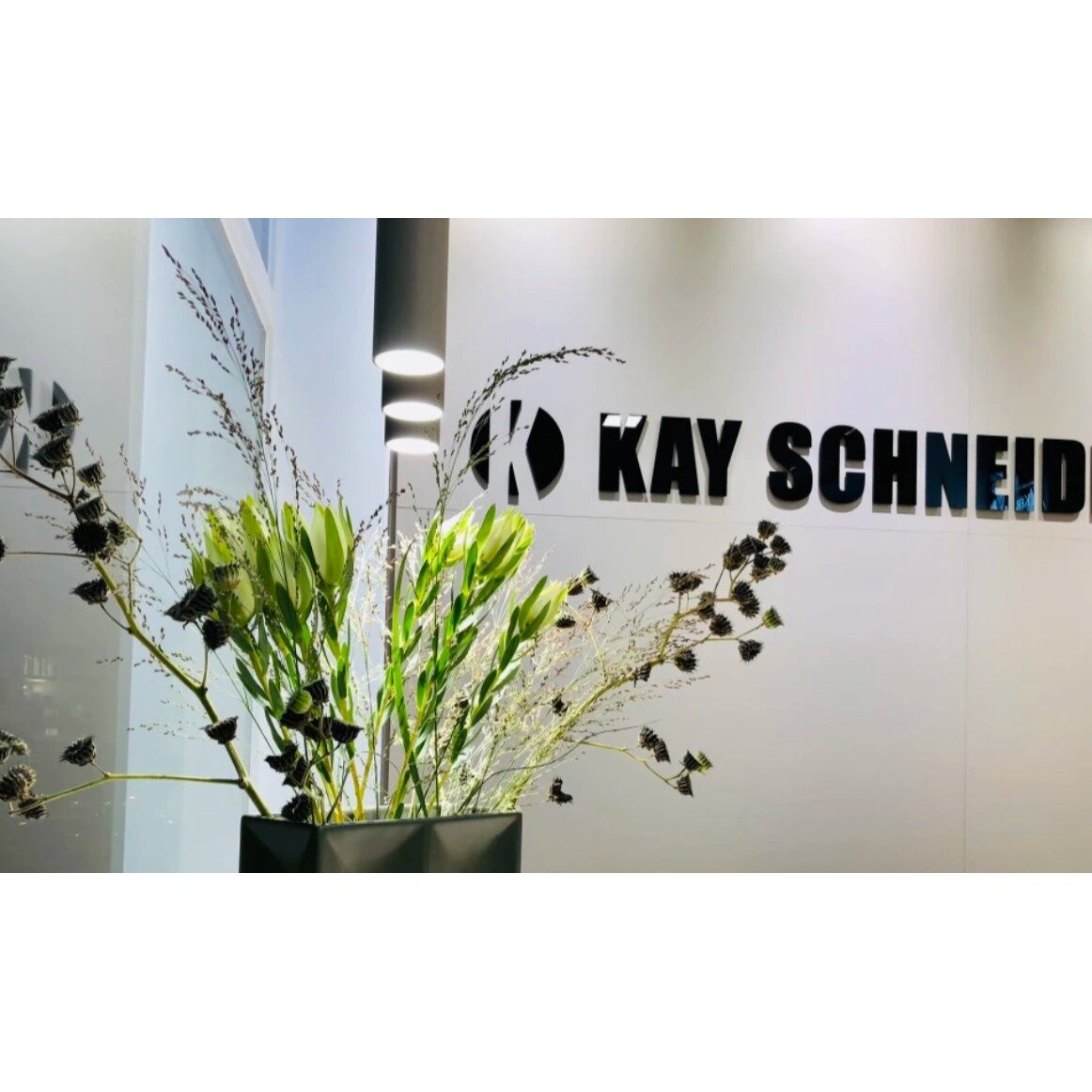 Kay Schneider