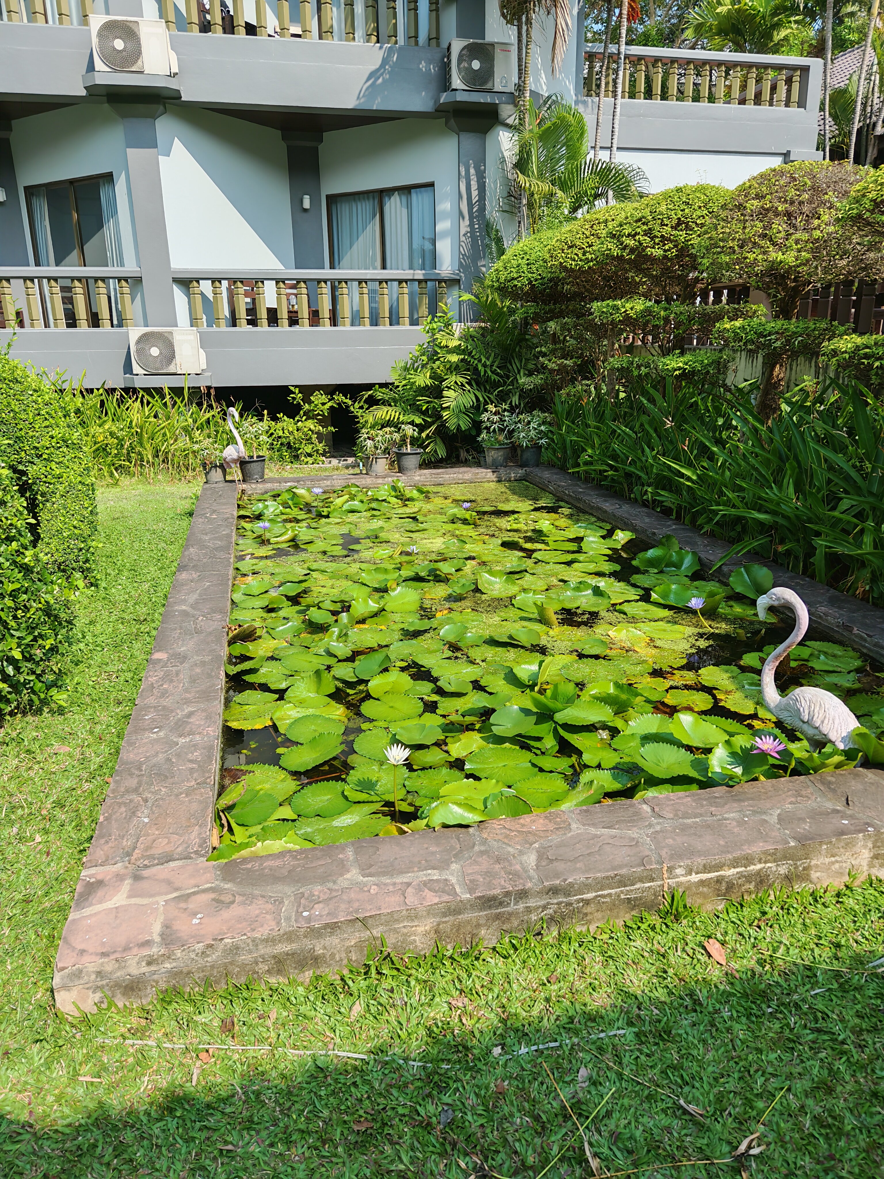 Фото Botany Beach Resort Pattaya