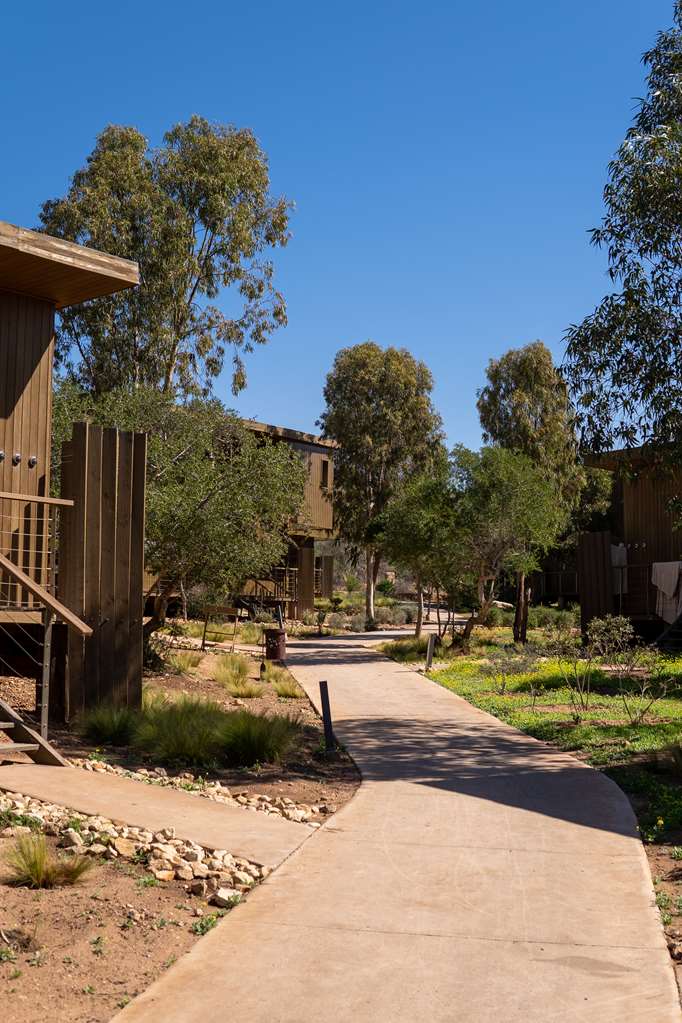 Фото Radisson Blu Resort Taghazout Bay Surf Village