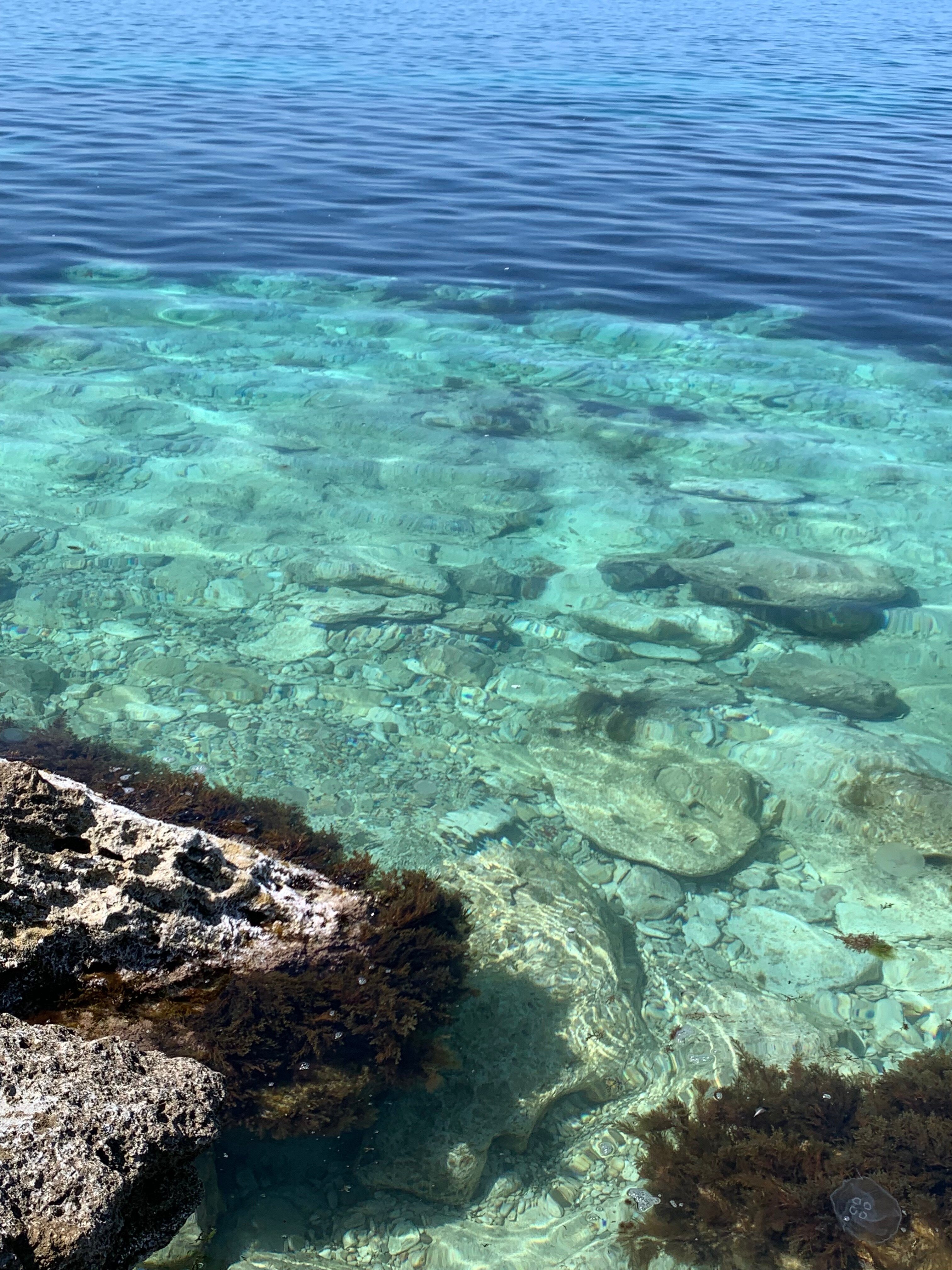 Фото Гостевой дом Прекрасная гавань