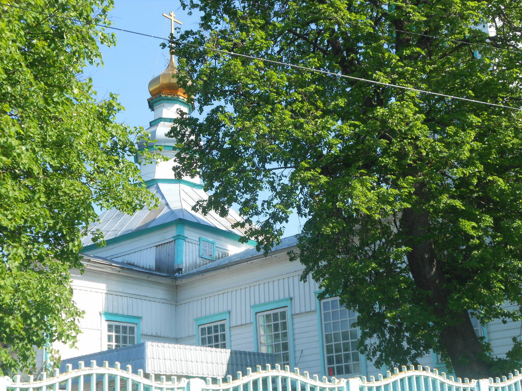 Orthodox church Церковь Зачатия Анны, Bryansk Oblast, photo
