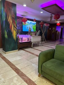 Гостиница Usta Park Hotel