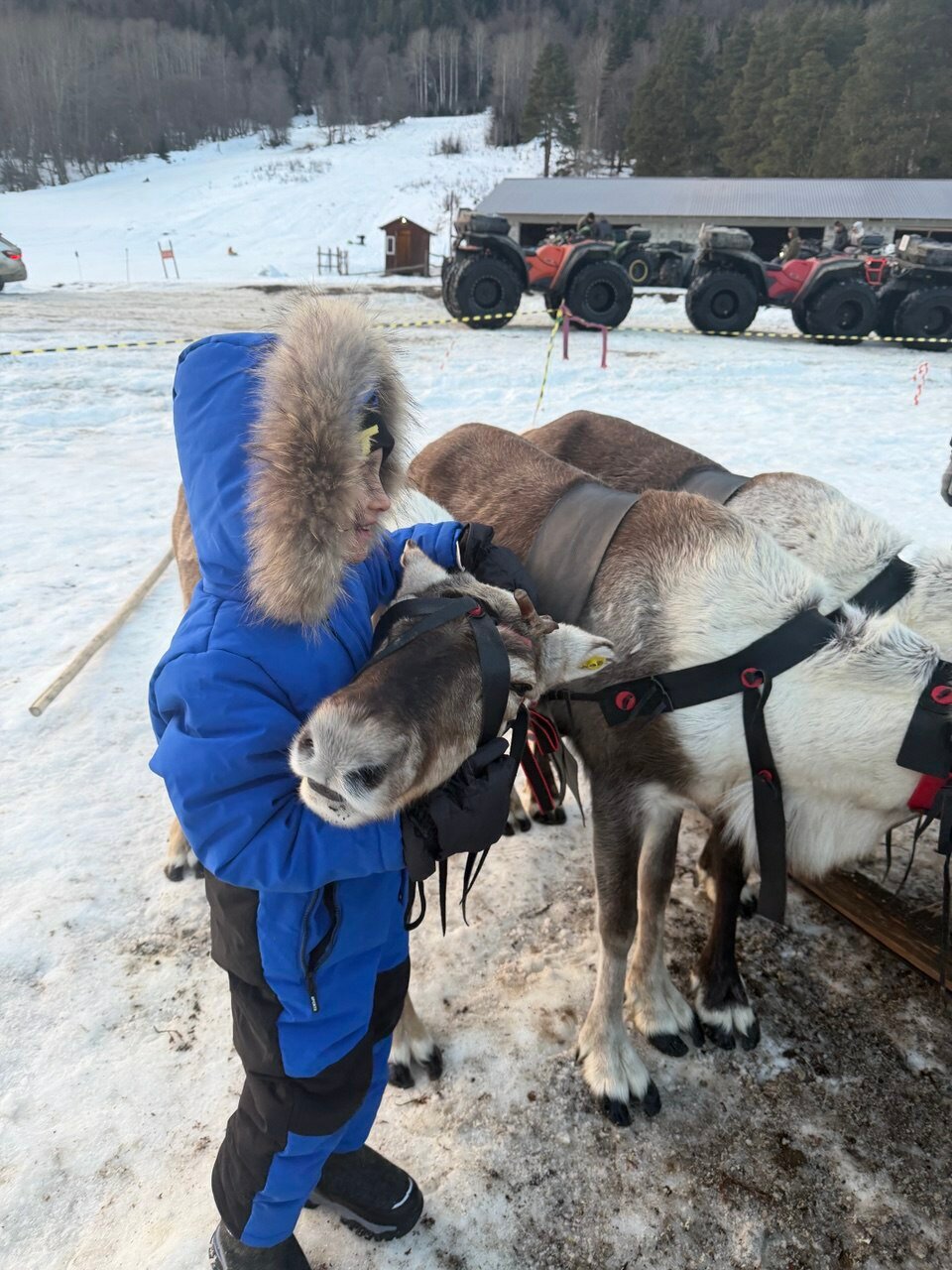 Фото Золото Архыза