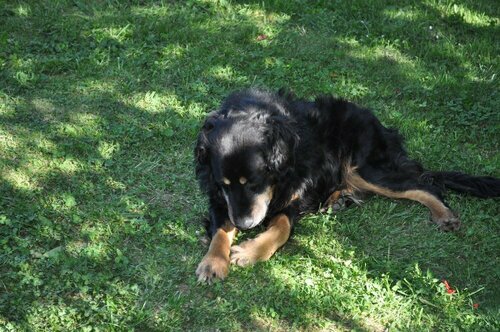 Гостиница La Ribeyrette в Флораке