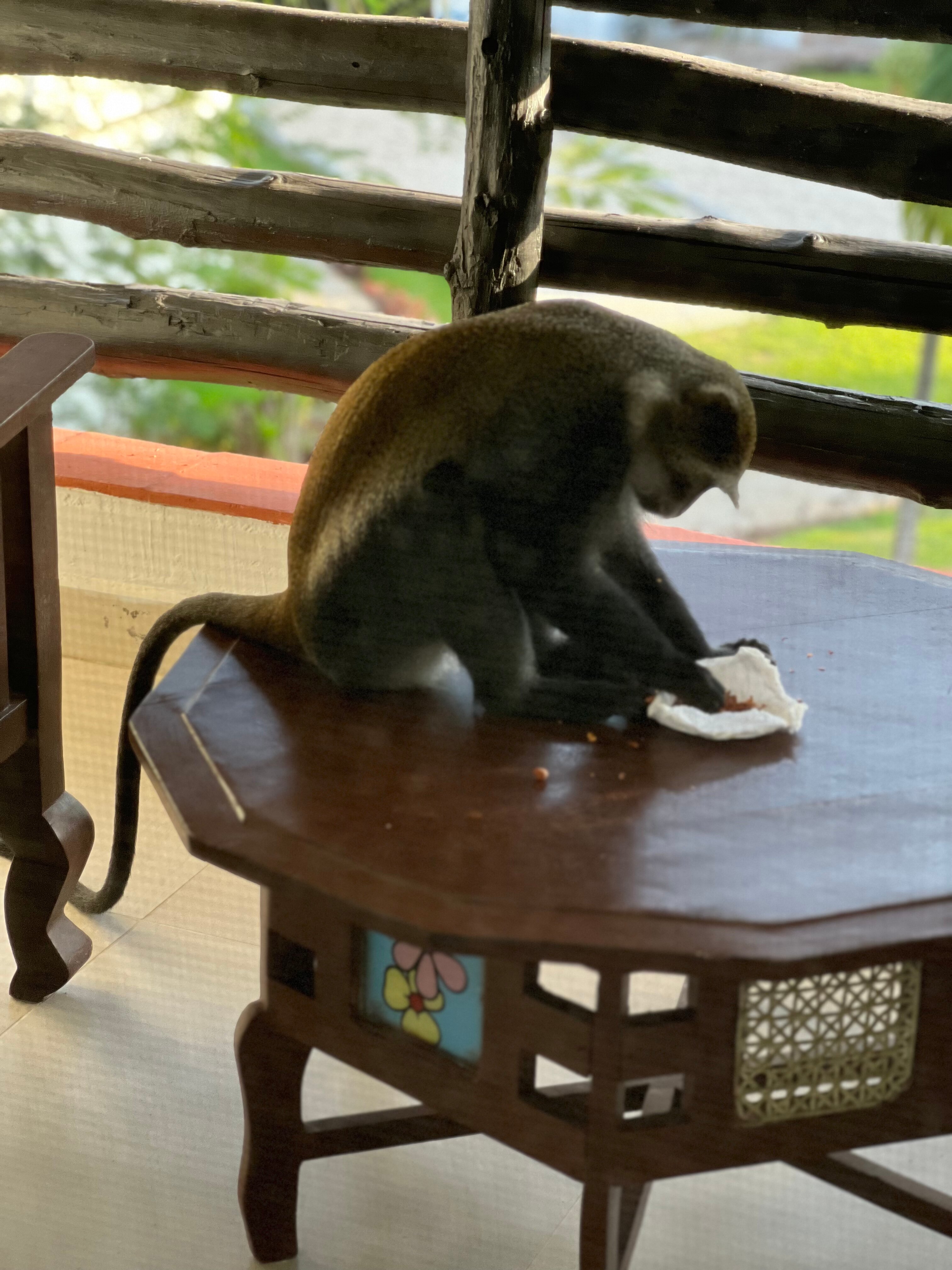 Фото Southern Palms Beach Resort