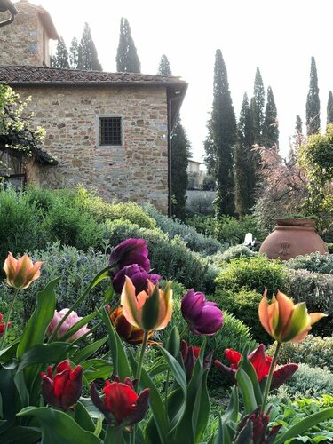 Settignano Tuscany Homes
