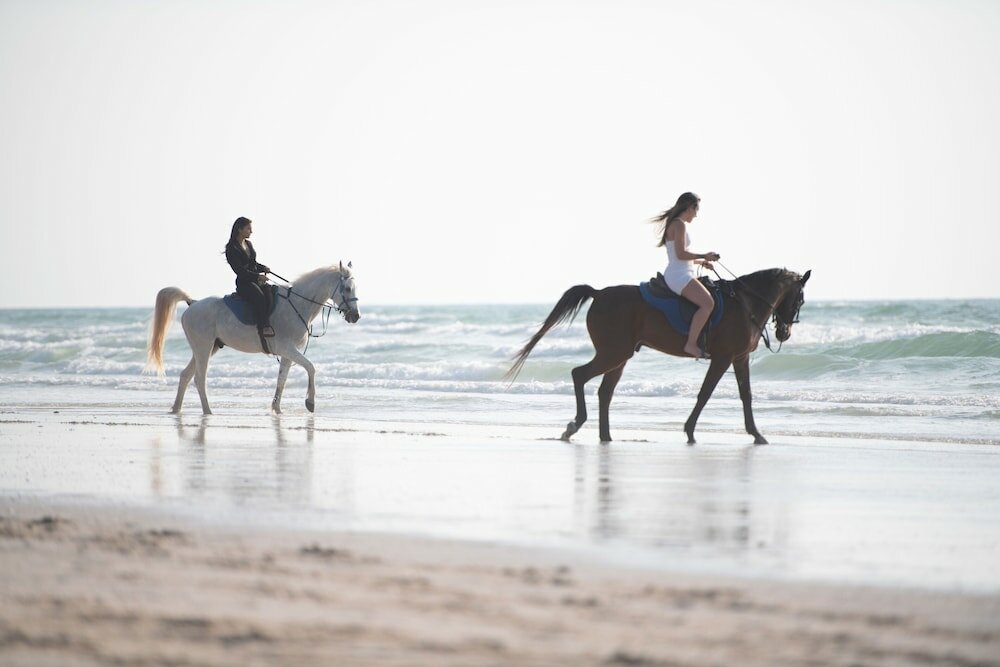 Umm Al Quwain Beach Hotel - 14