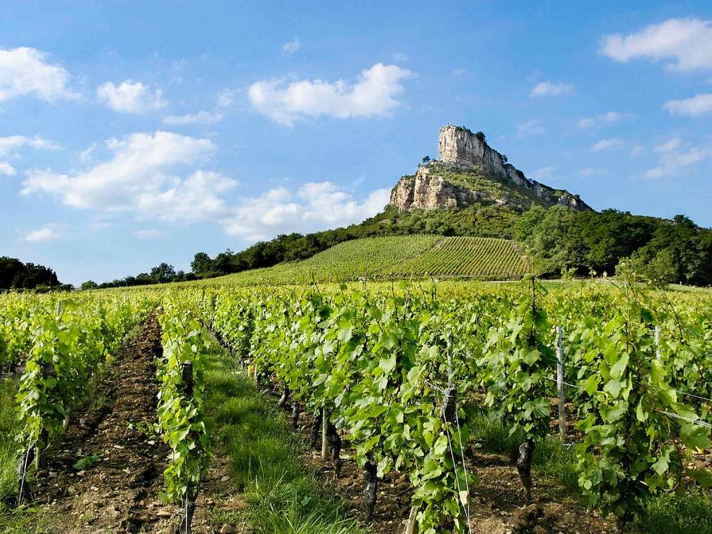 Фото Mercure Macon Bord de Saone