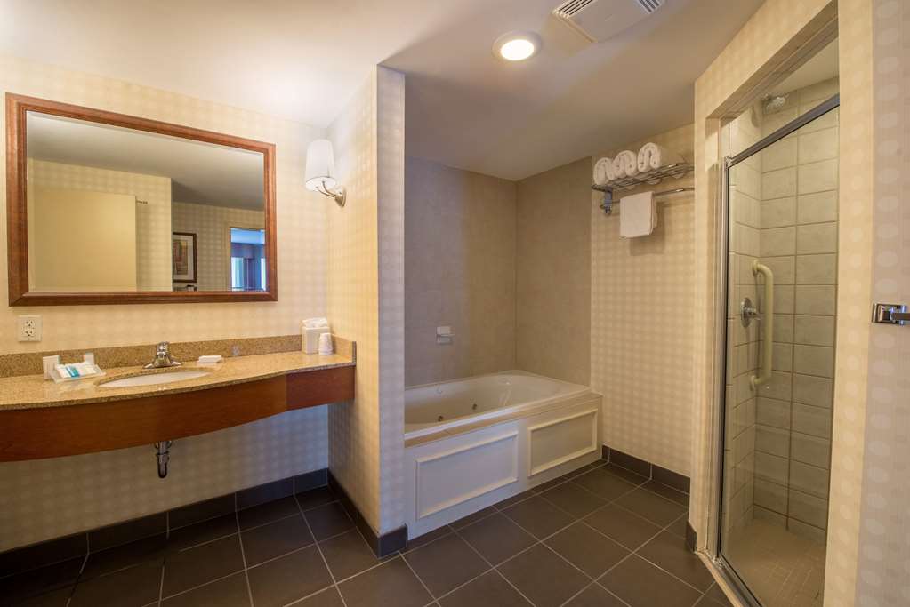 Фото Hilton Garden Inn Manchester Downtown