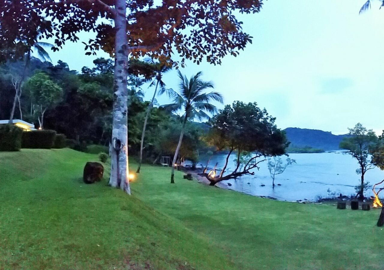 Nest Sense Resort - 12
