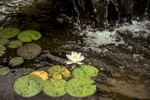 Гостиница Penzión Meridiana Bojnice в Прьевидзе