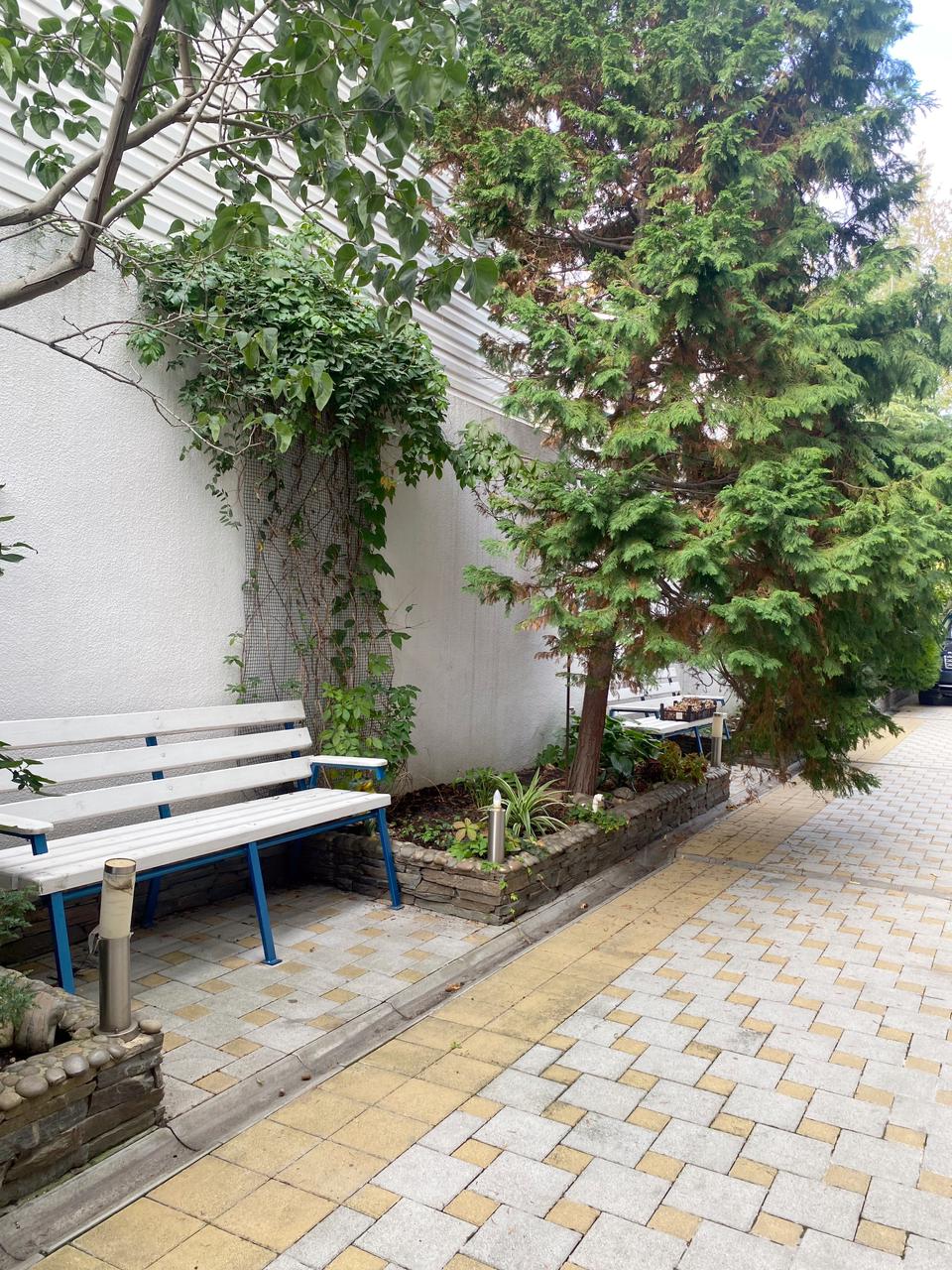 Фото Горгиппия