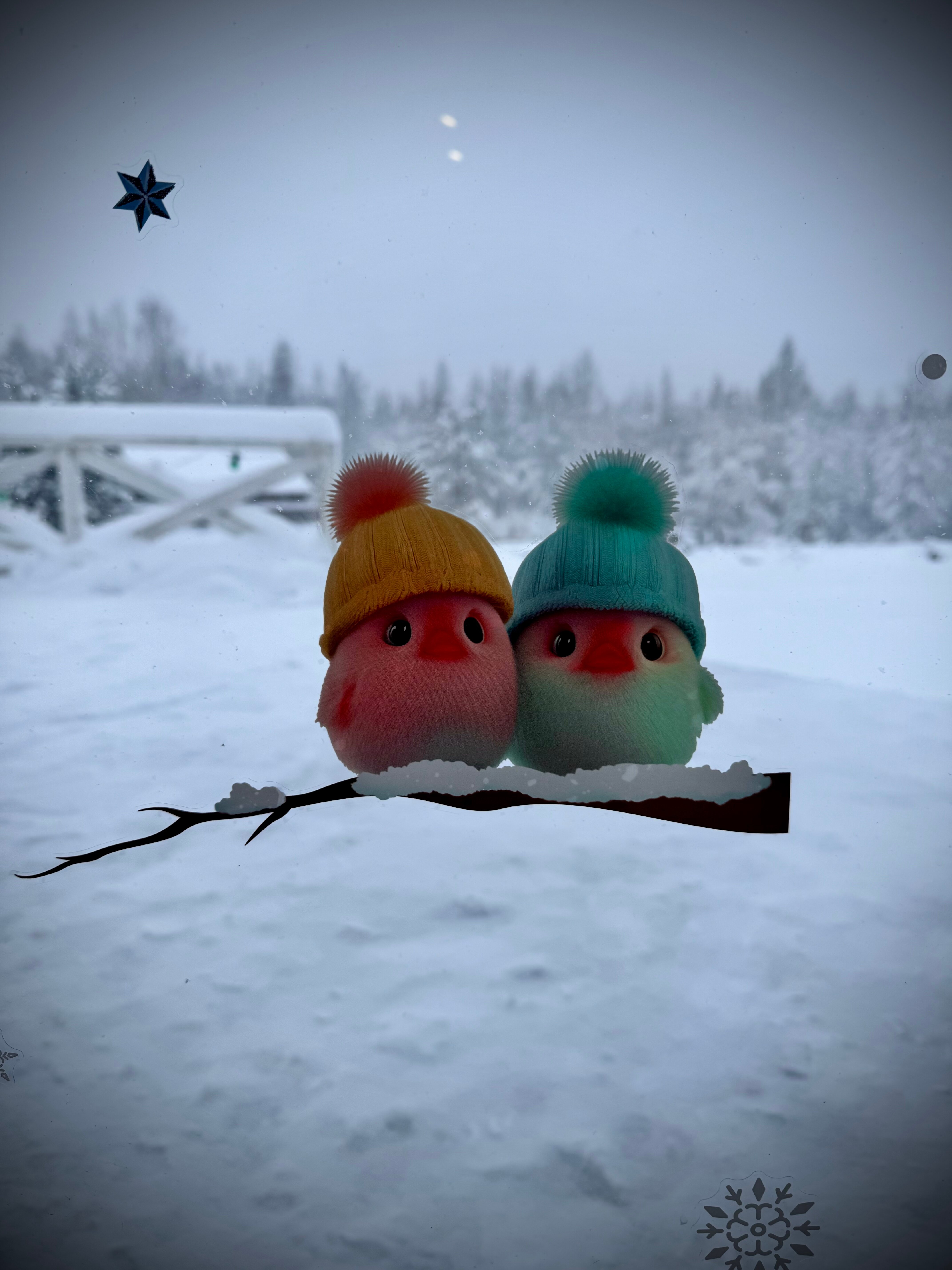 Фото Совенок
