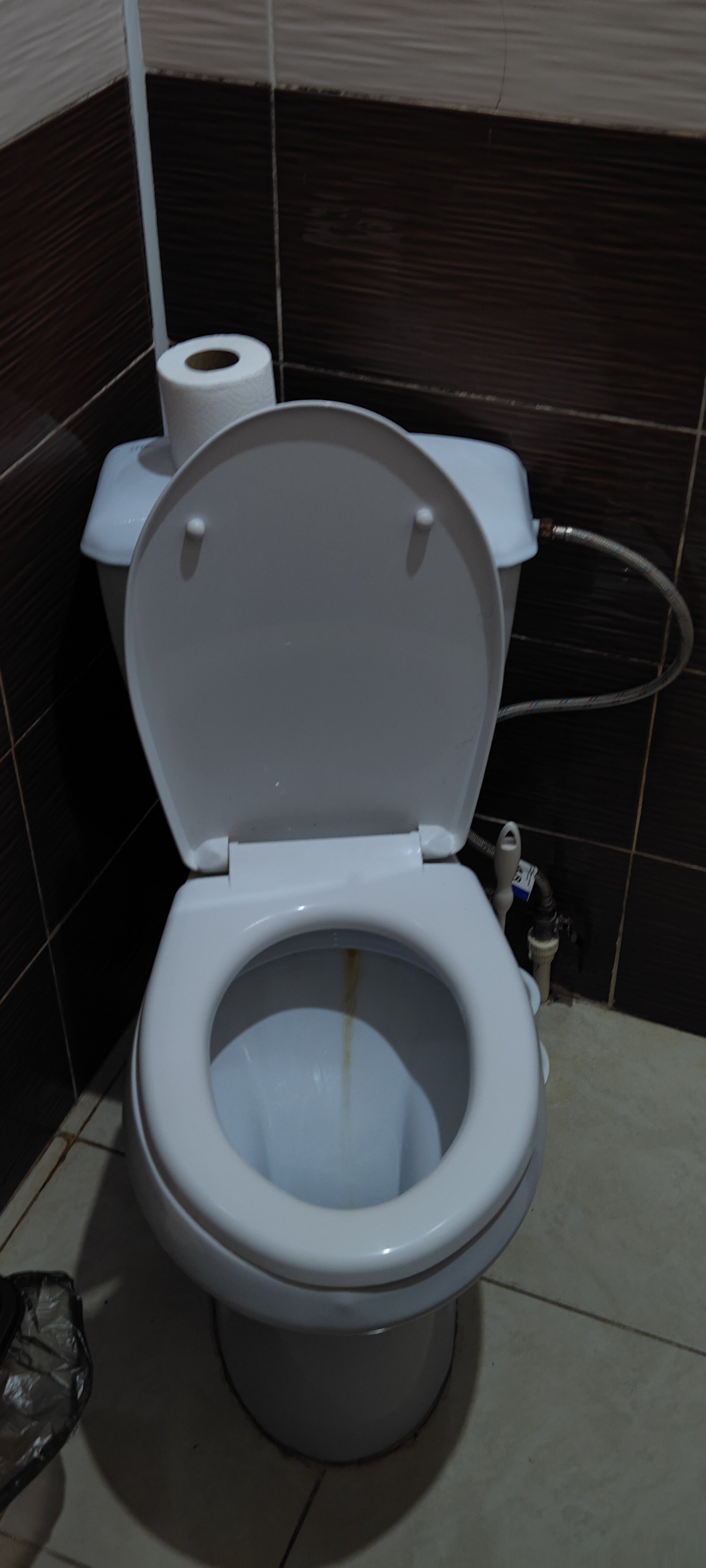 Фото Ной