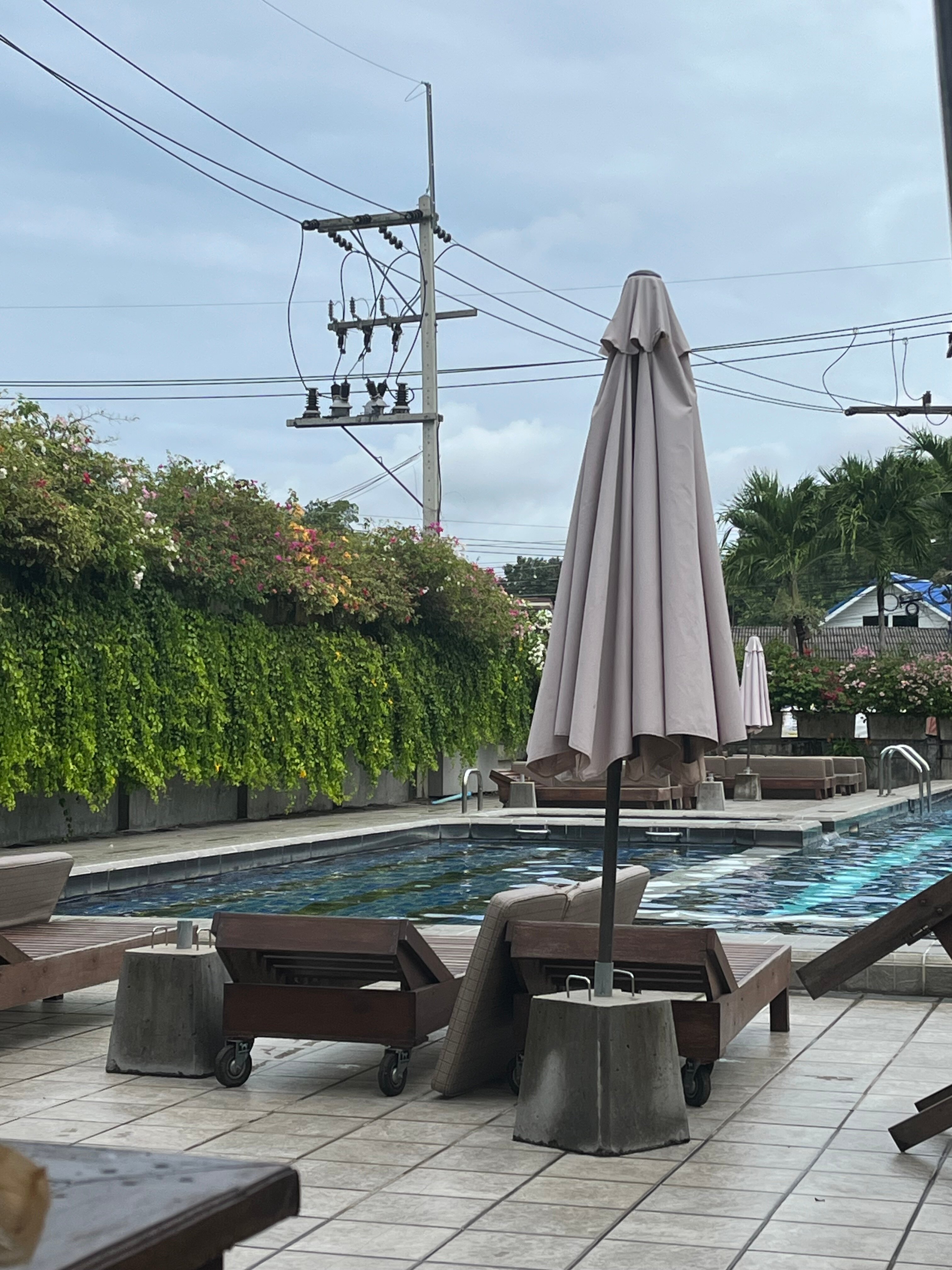 Фото The Mangrove Hotel