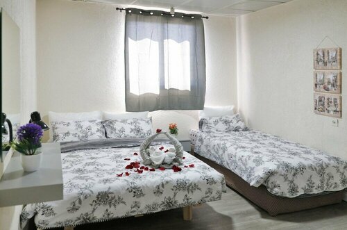 Гостиница Neve Midbar Motel в Южном АО