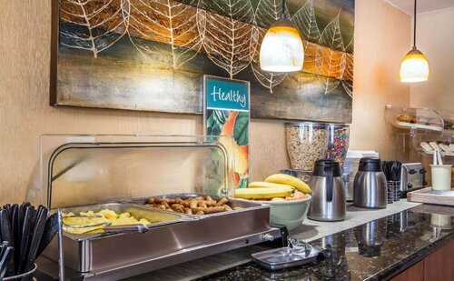Гостиница Quality Inn & Suites Evergreen Hotel в Огасте
