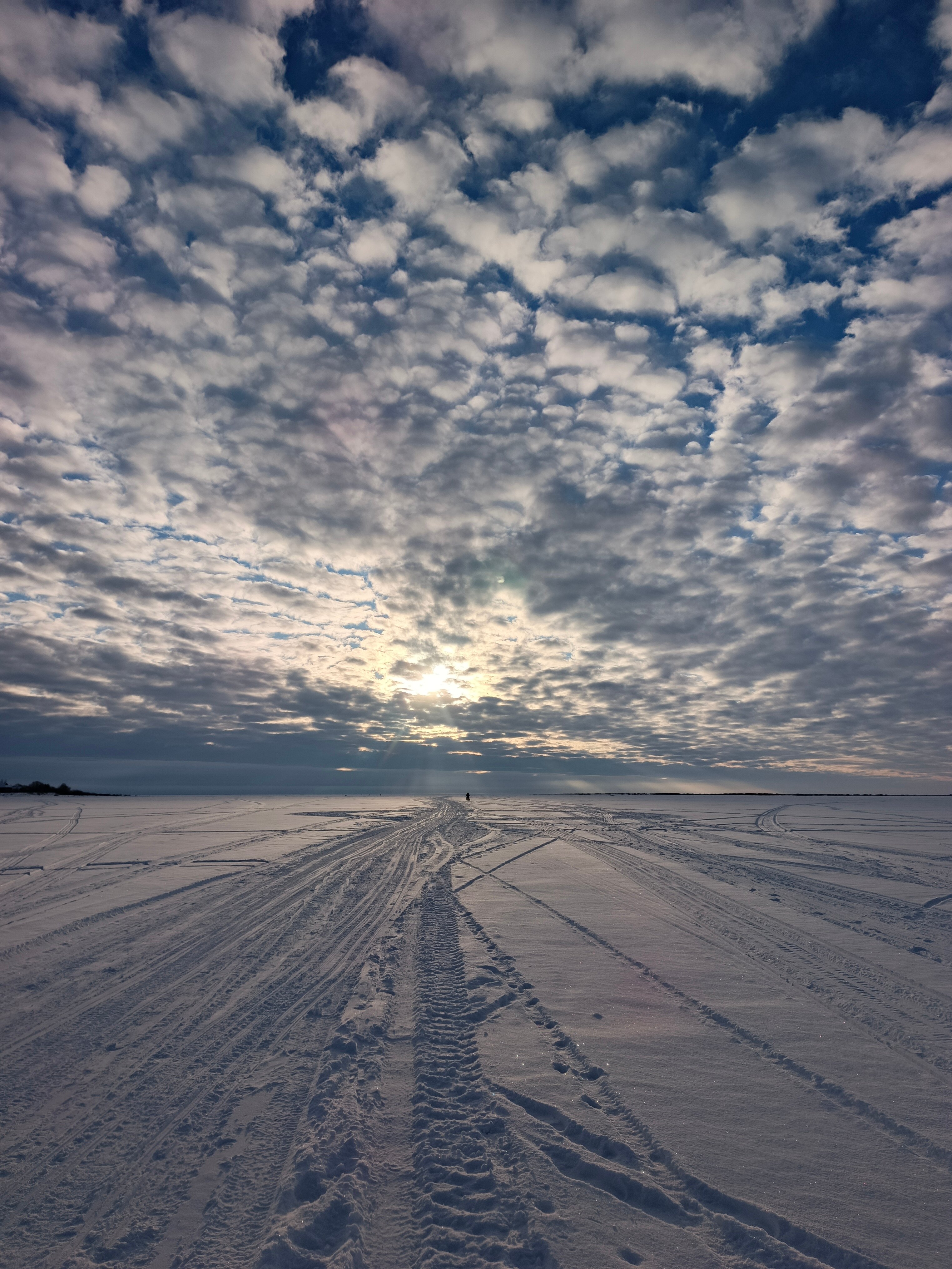 Фото Хозяин леса