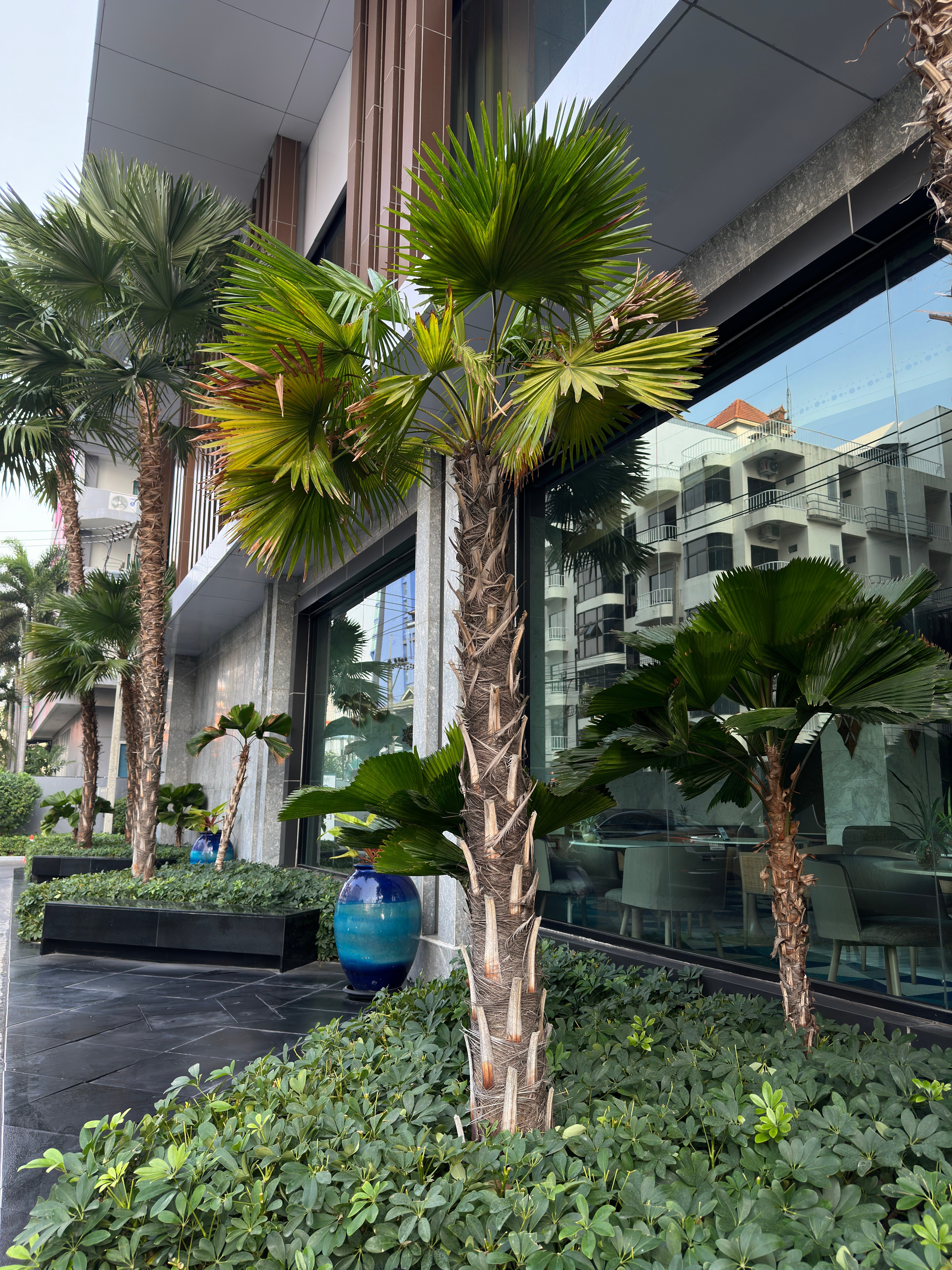 Фото Mytt Hotel Pattaya