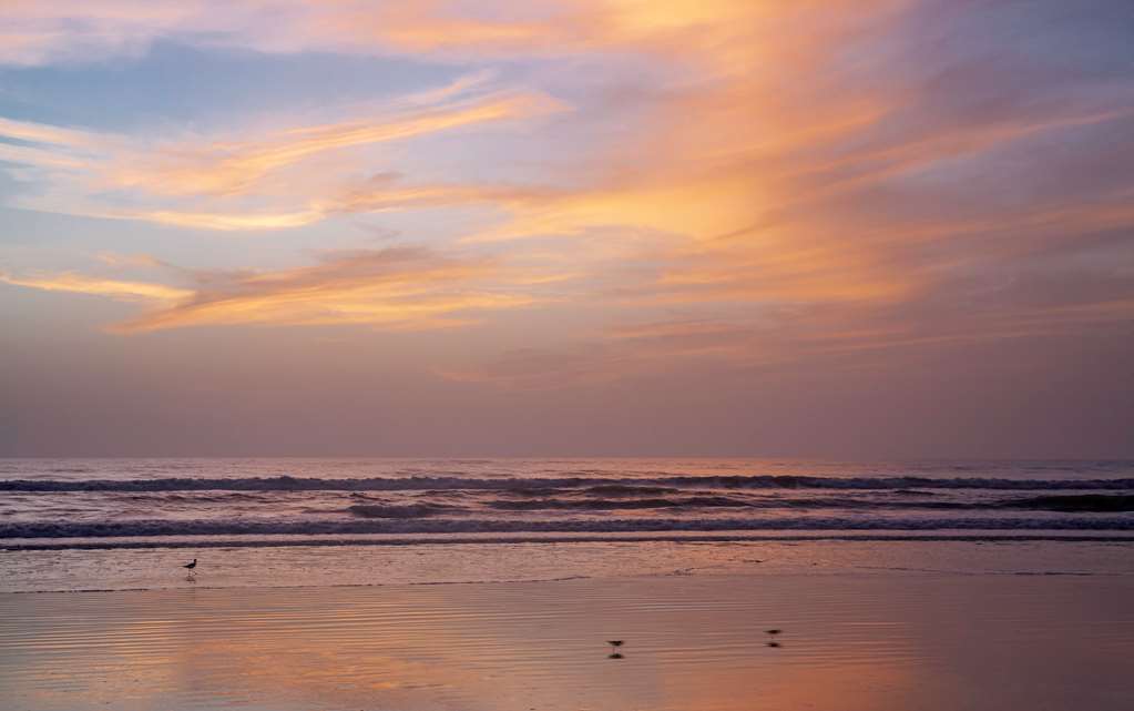 Фото Best Western New Smyrna Beach Hotel & Suites