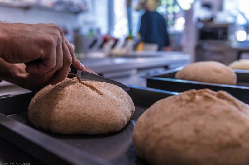 Фото Hotel Castor