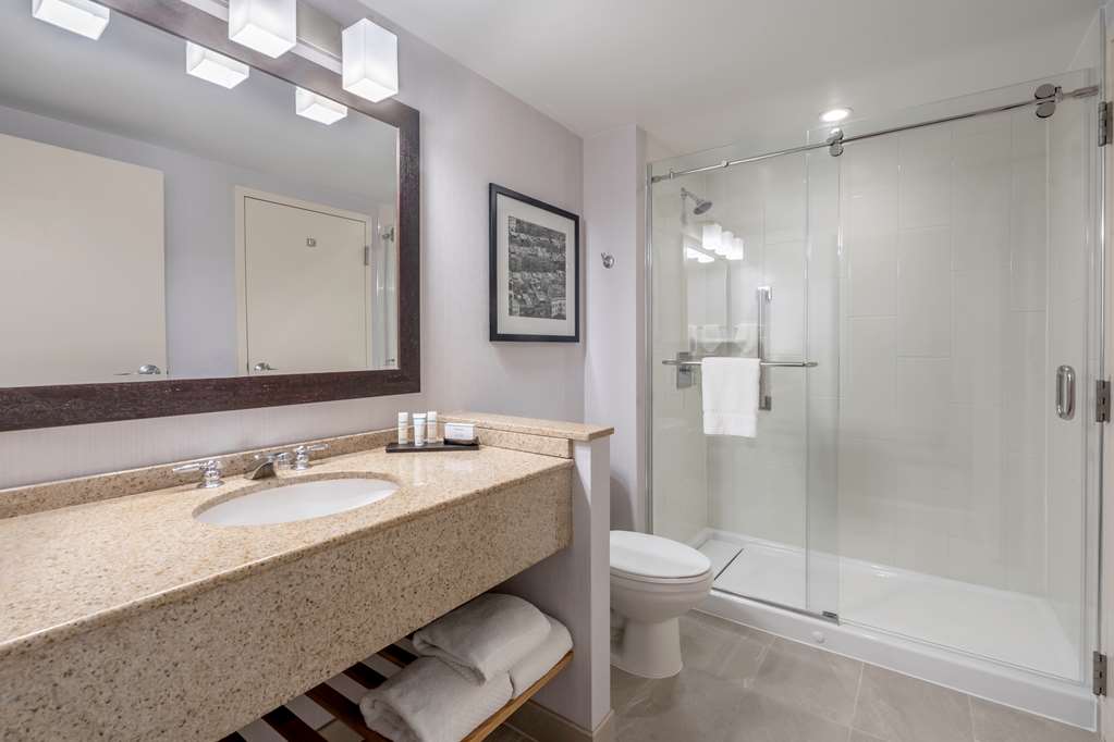 Фото Embassy Suites by Hilton Boston at Logan Airport
