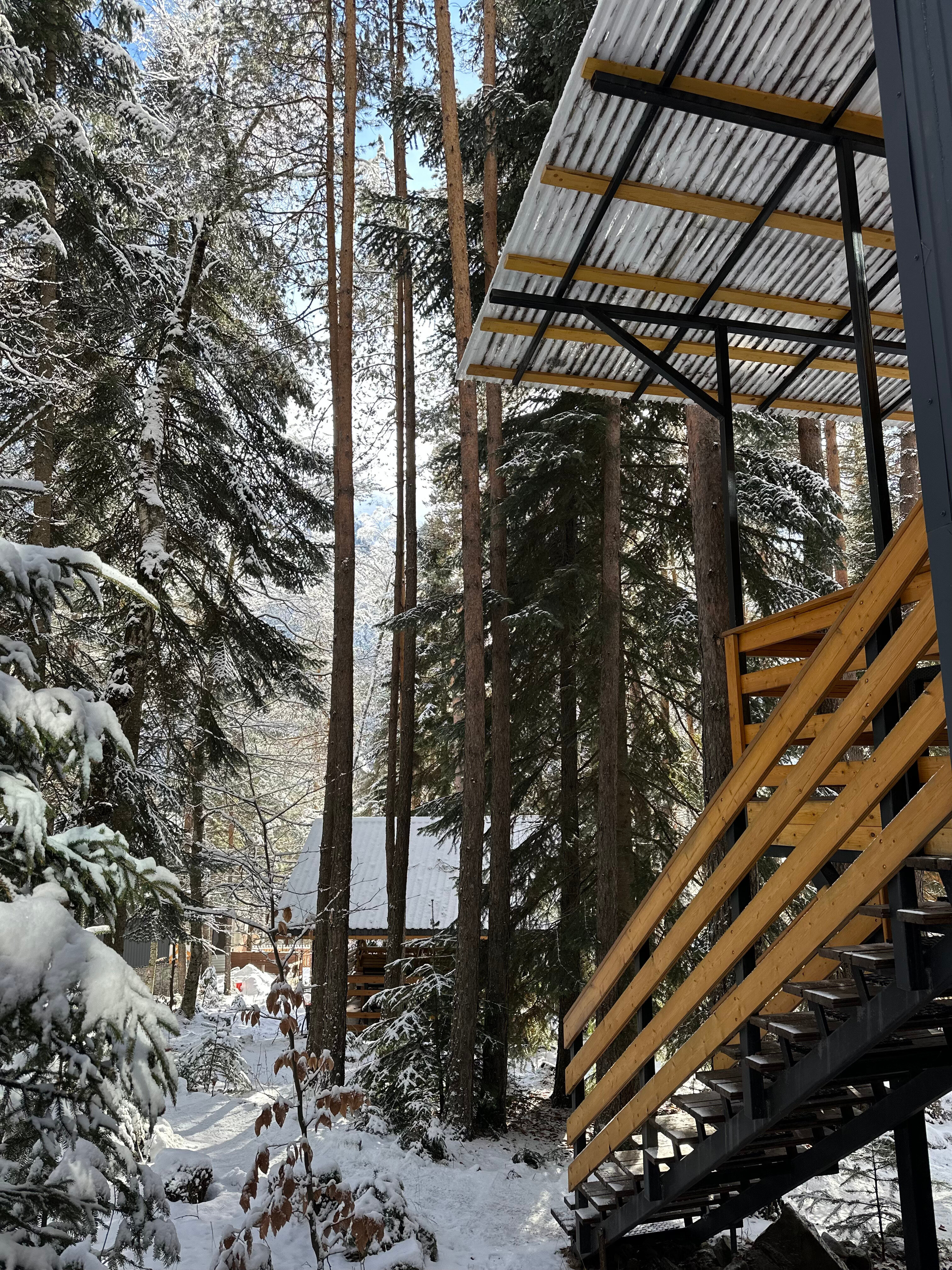 Фото Дух леса