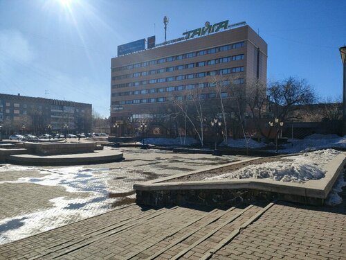 Тайга фото 8