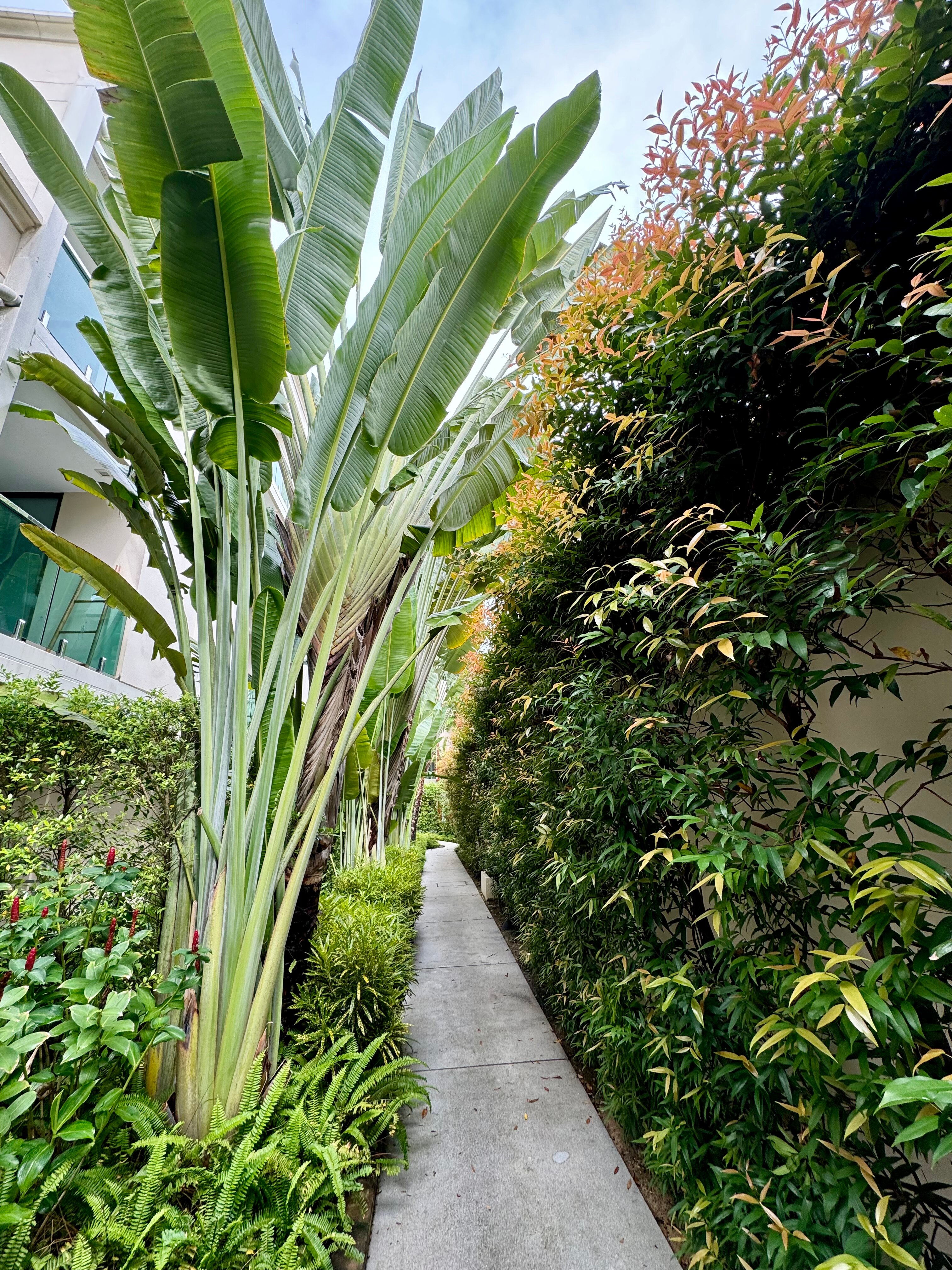 Фото Dewa Phuket Resort & Villas