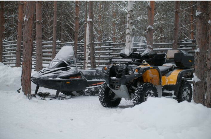 Фото Место под соснами