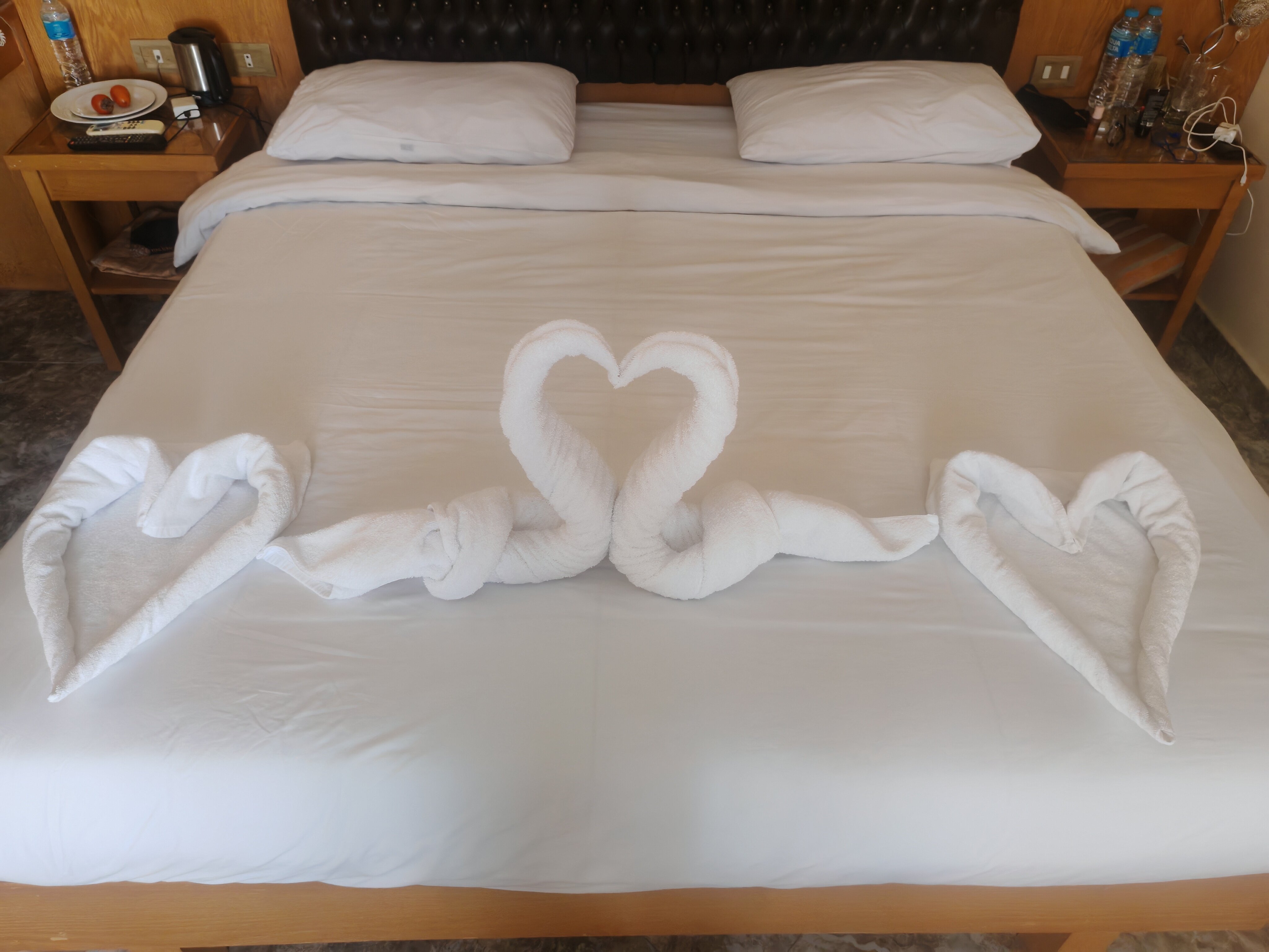 Фото Oriental Rivoli Hotel & SPA
