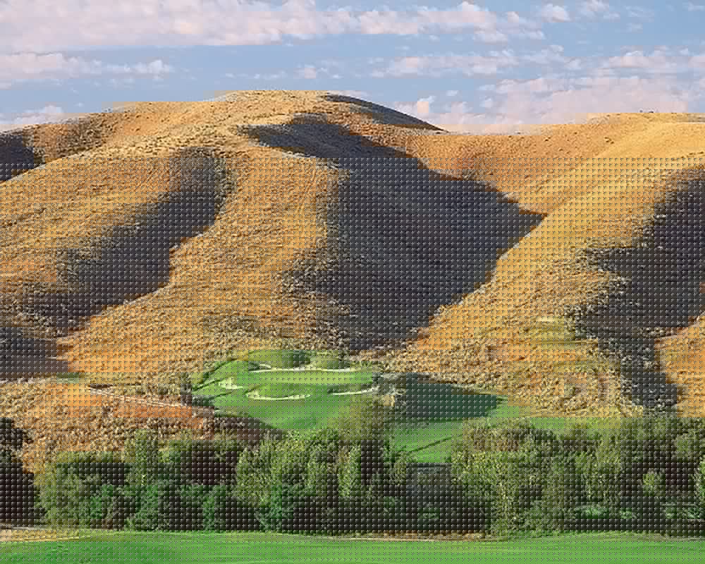 Фото Holiday Inn Express Boise - University Area, an Ihg Hotel