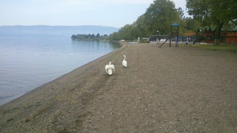 Фото Отель Mizo