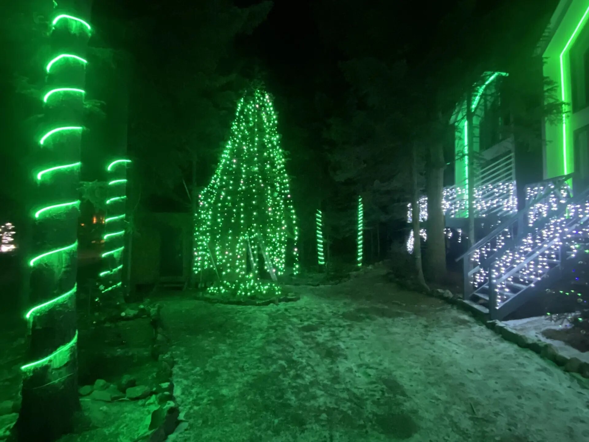 Фото 7 Звезд