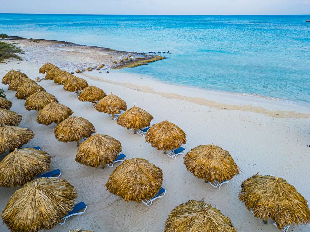 Фото Embassy Suites by Hilton Aruba Resort