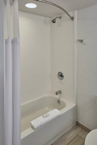 Гостиница Hilton Garden Inn Detroit Downtown в Виндзоре