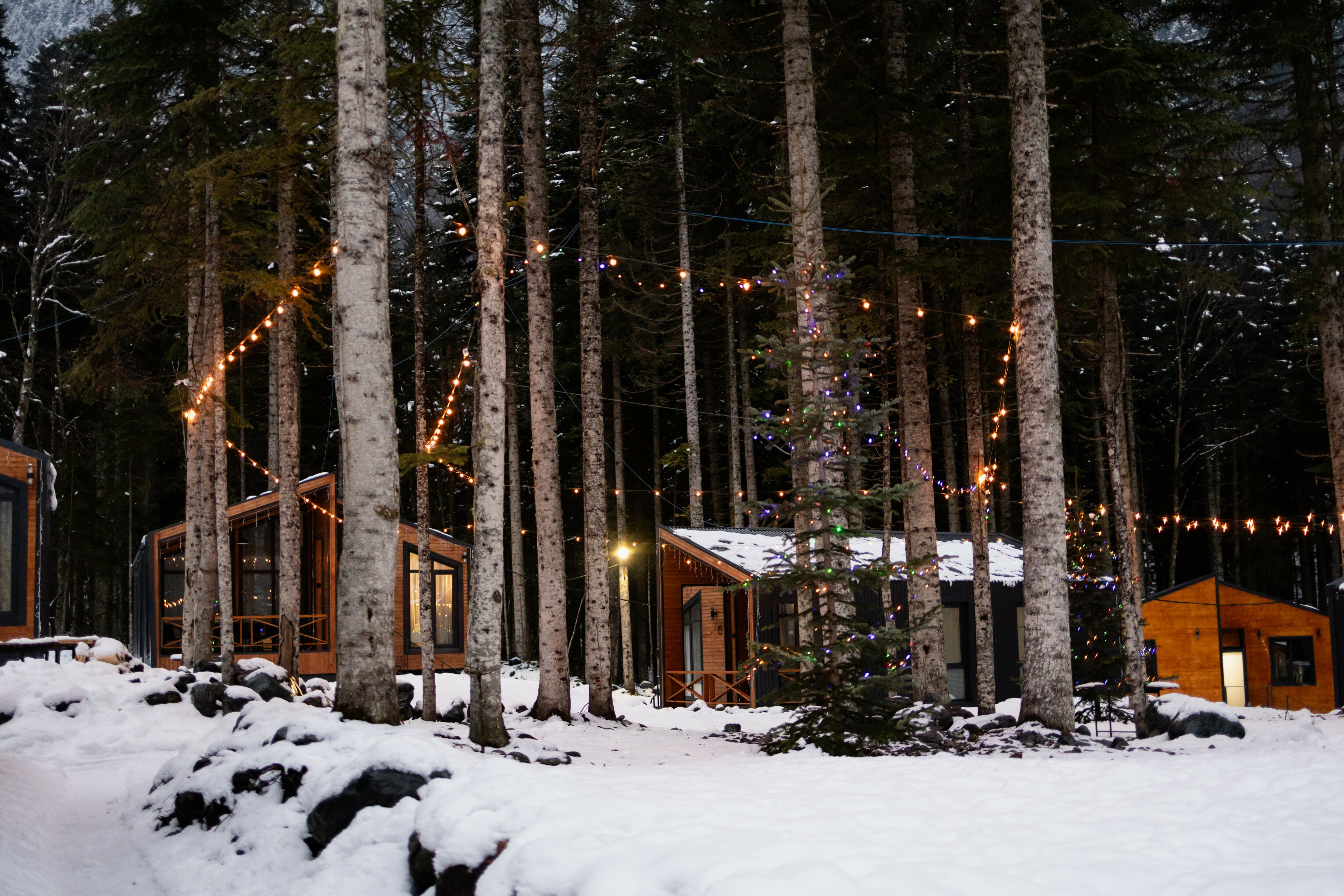 Фото Dombay Paradise