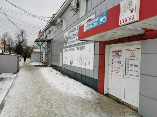 Зебра — фото 3