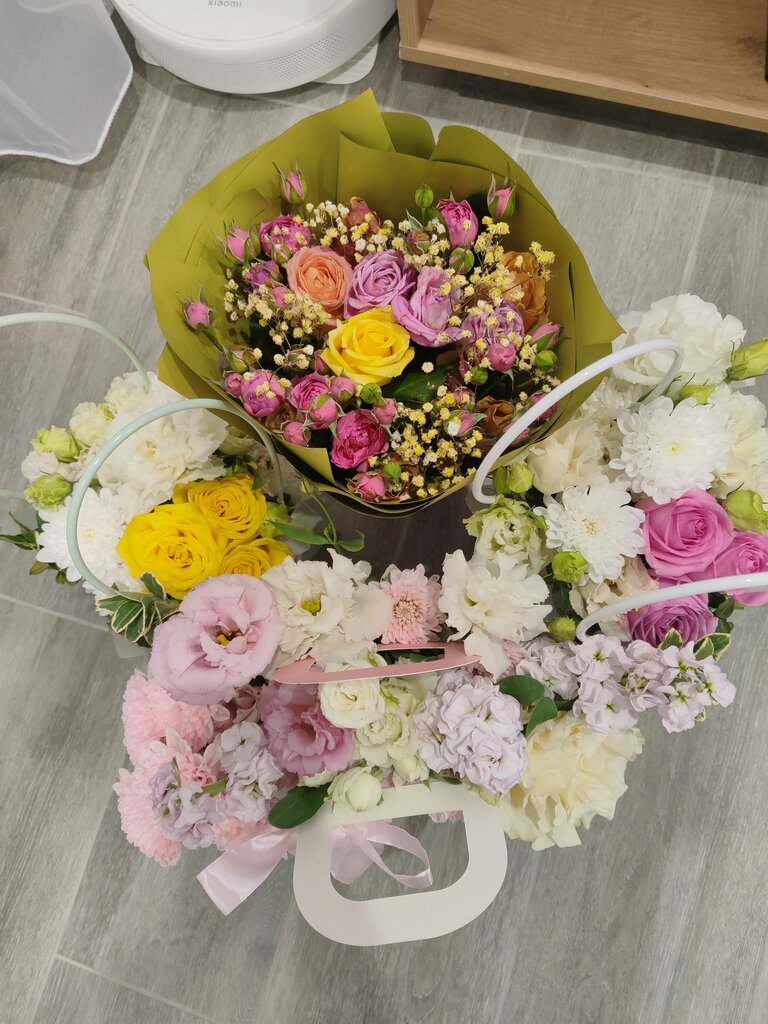 Елена Митина