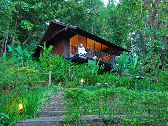 Фото Vanilla Hill