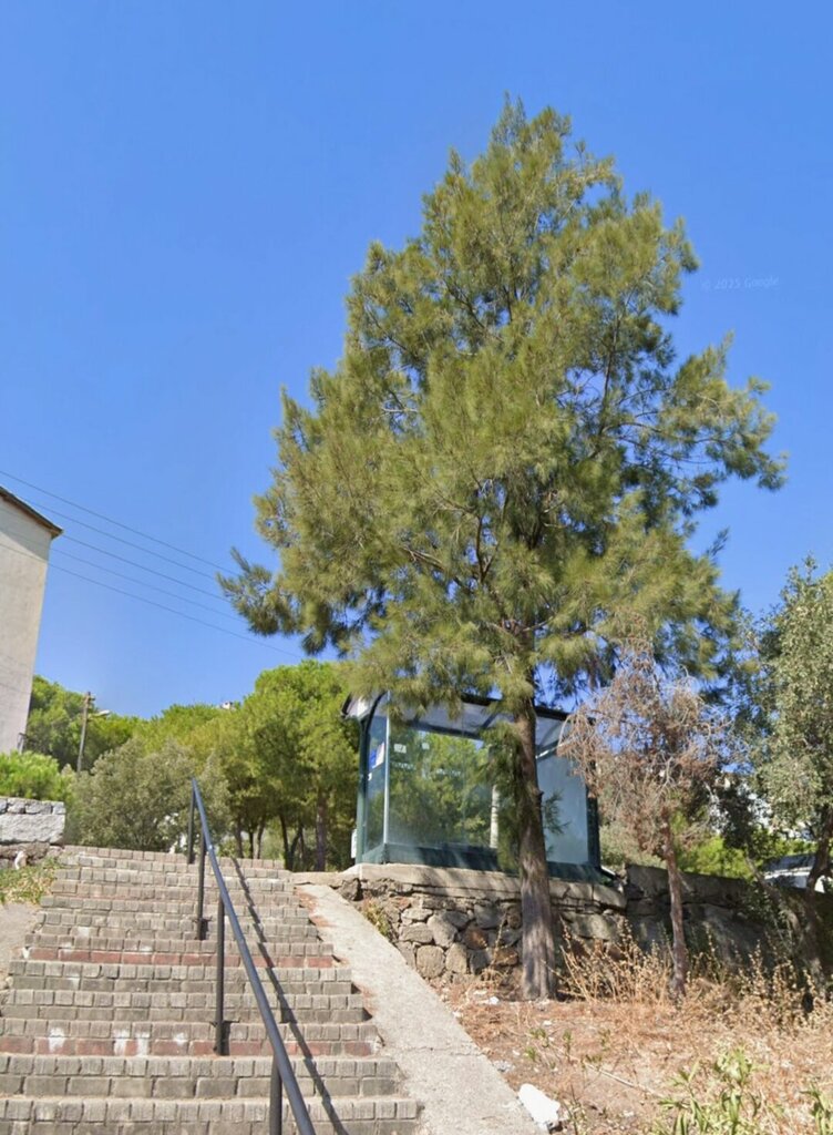 Emergency assembly area Esentepe Neighborhood 4 Numbered Gathering Area, Izmir, photo