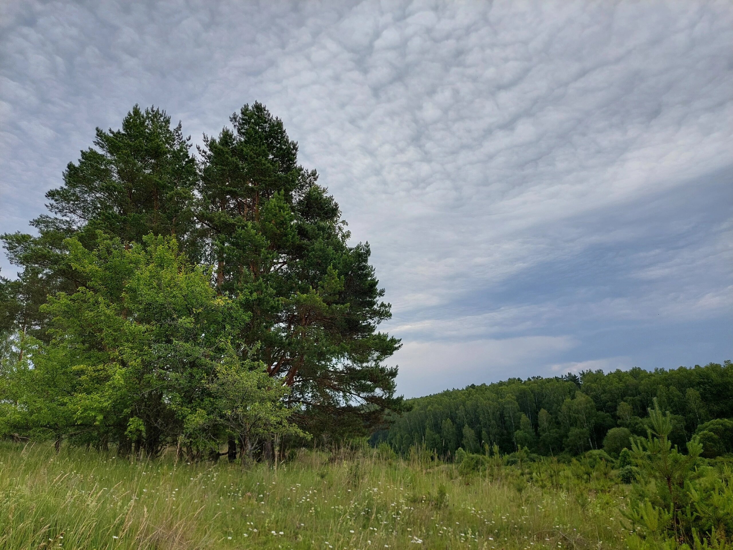 Фото Домики Бородино