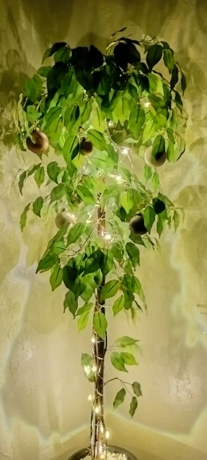 Фото Light House