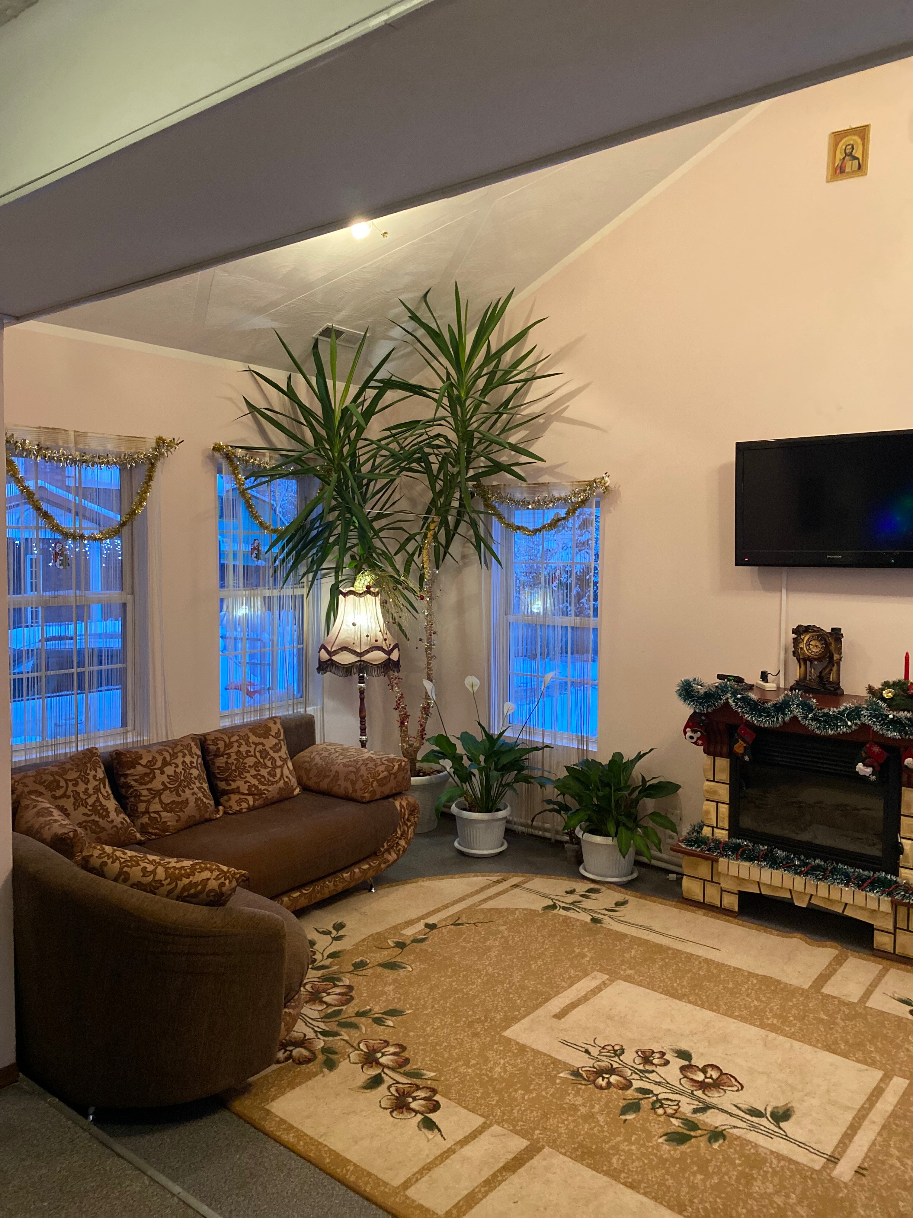 Фото Орхидея