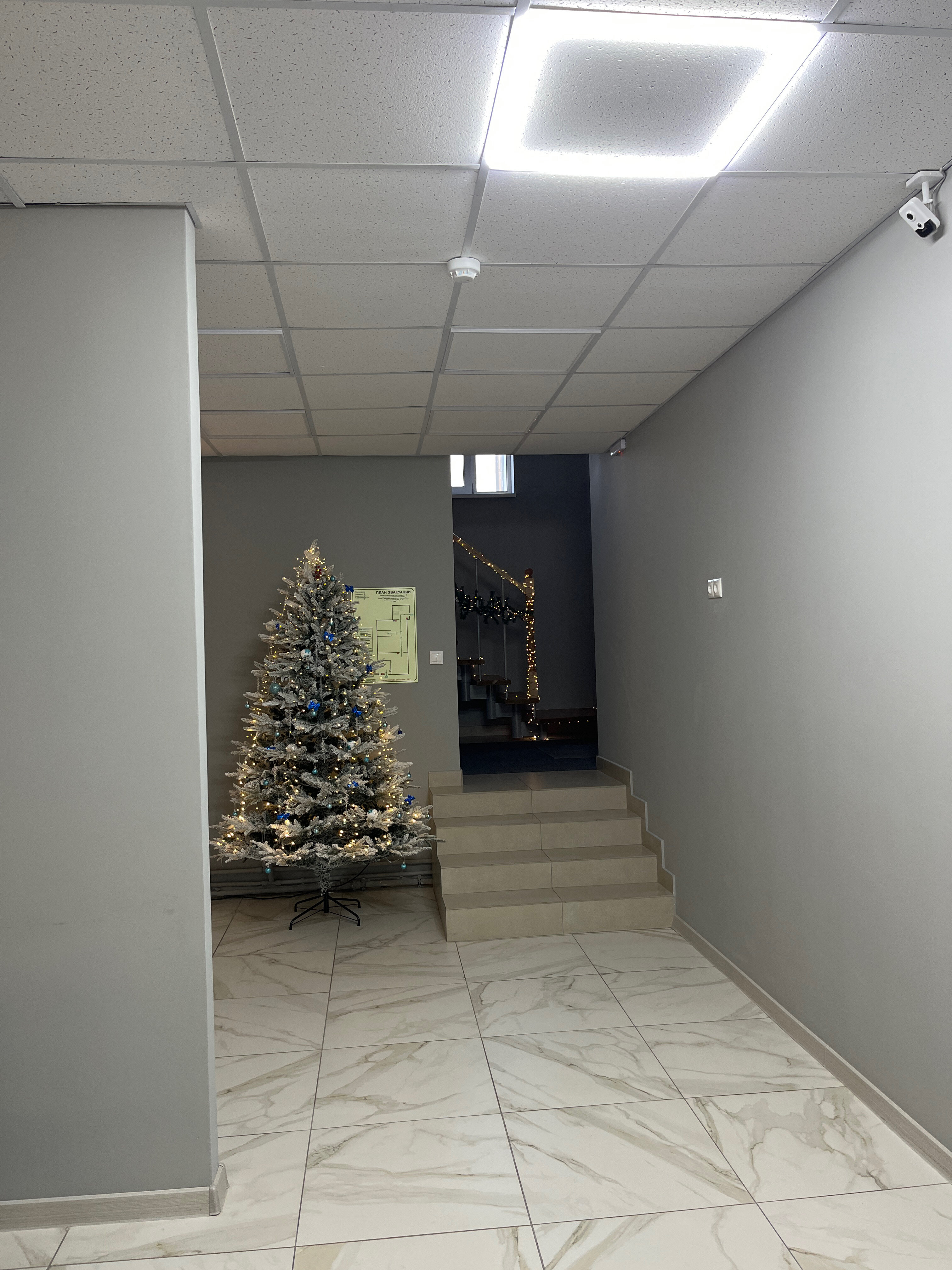 Фото Аист