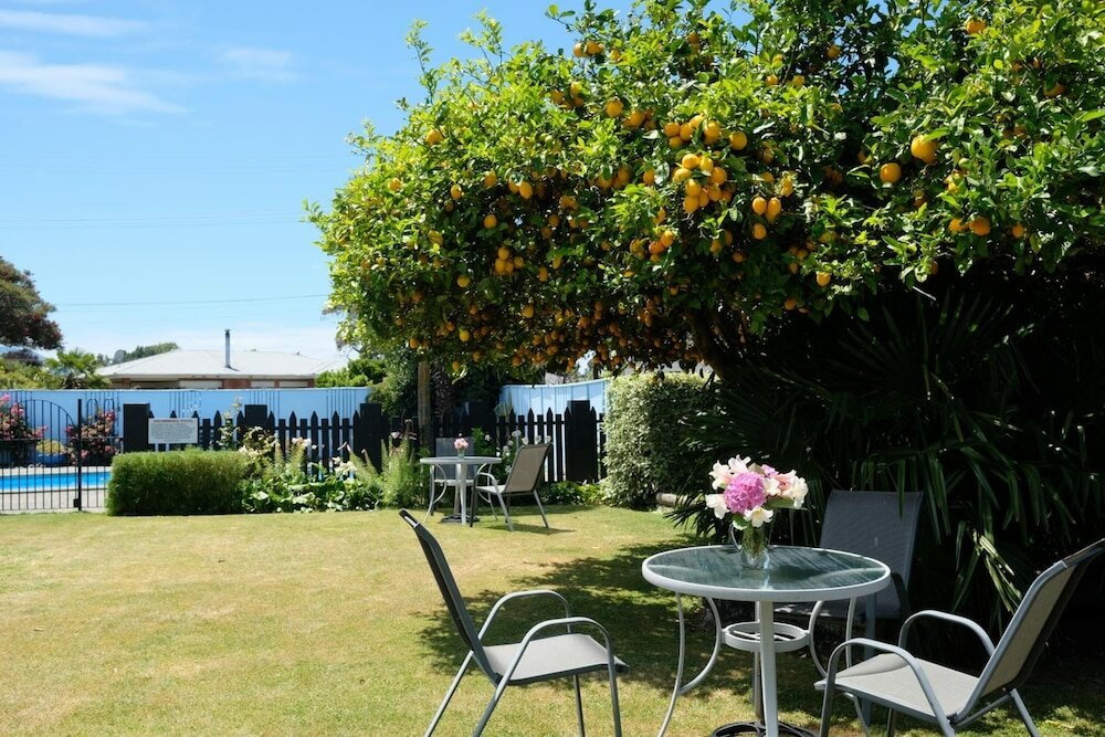 Фото Montana Lodge Motel