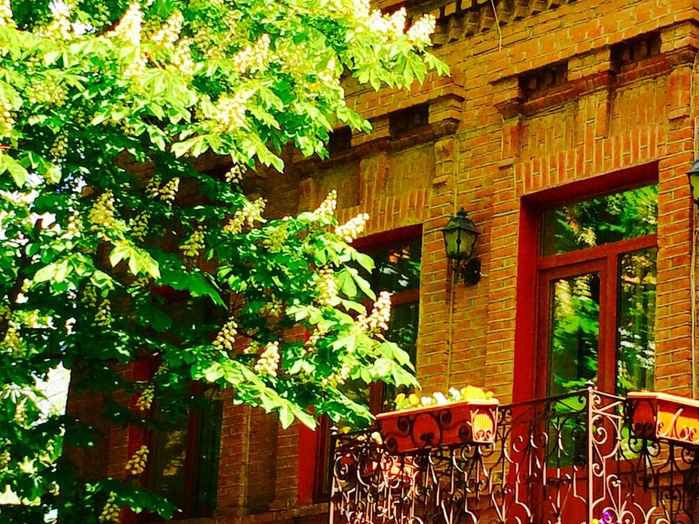 Фото British House